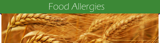 allergies-wheat
