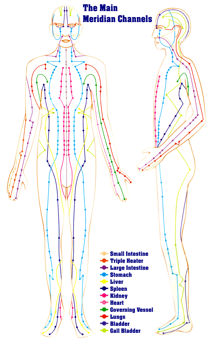 meridians