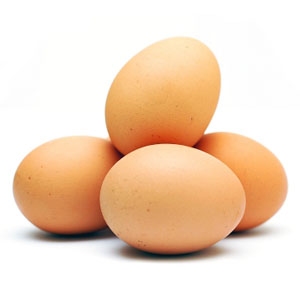 About Us - Open Range Free Range Eggs